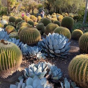 Meet your Posher, Yusa